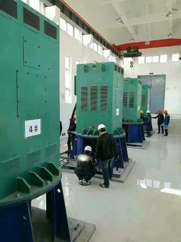 郸城某污水处理厂使用我厂的立式高压电机安装现场